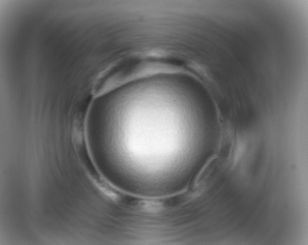 X0000082680719200702021226
