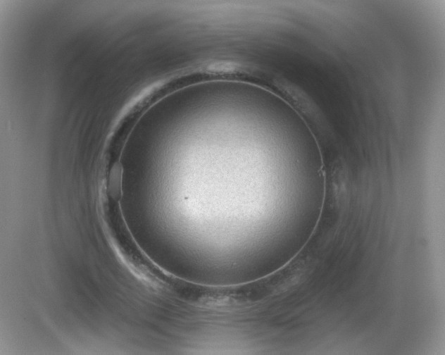 X0000082680728200702021226