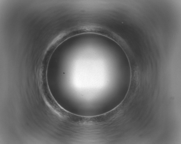 X0000082680730200702021226