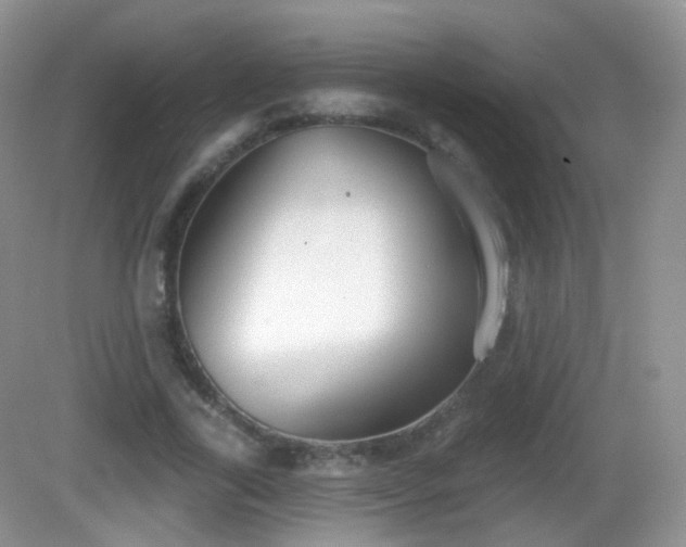 X0000082680731200702021226