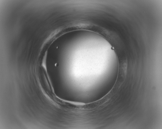 X0000082680734200702021226