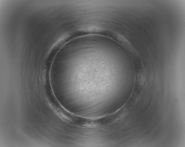 X0000082680735200702021226