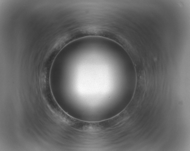 X0000082680739200702021226
