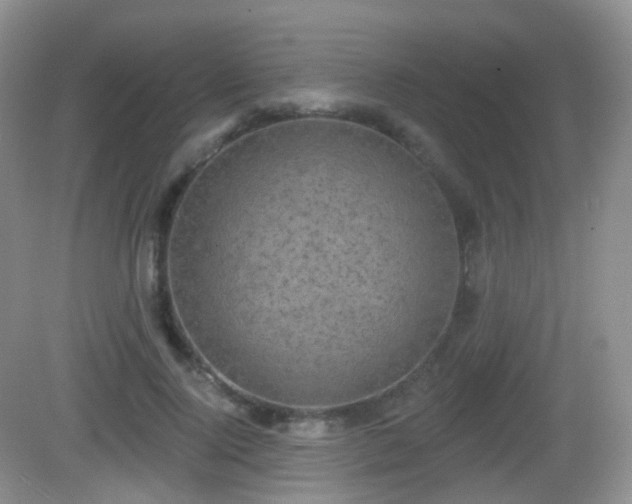 X0000082680740200702021226
