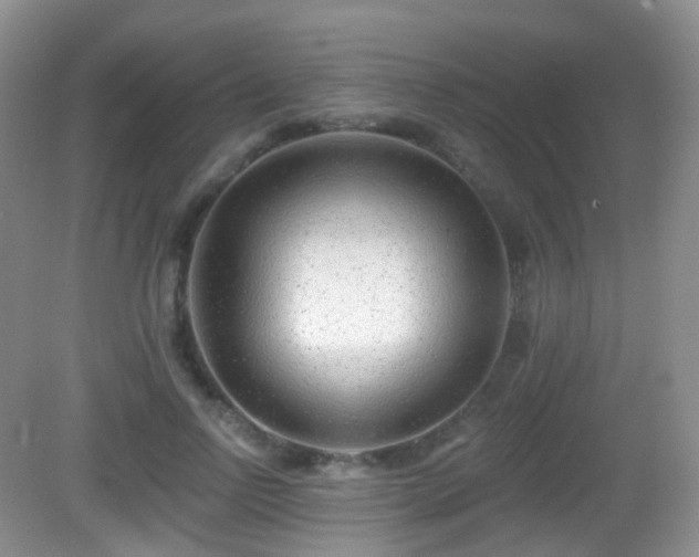 X0000082680742200702021226