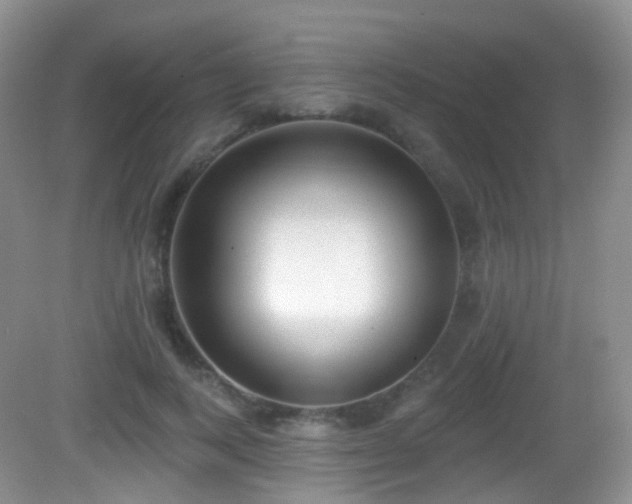 X0000082680743200702021226