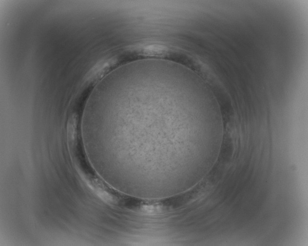 X0000082680744200702021226