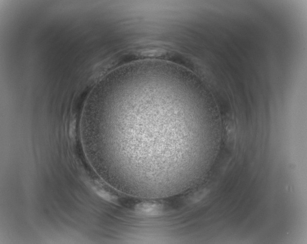 X0000082680745200702021226