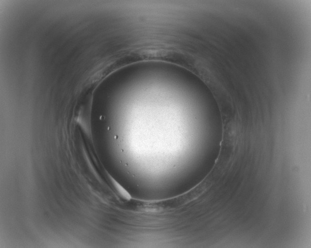 X0000082680746200702021226