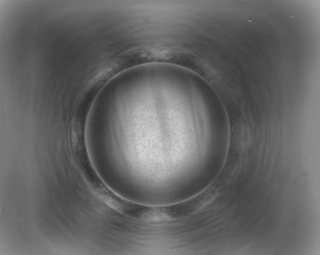X0000082680747200702021226