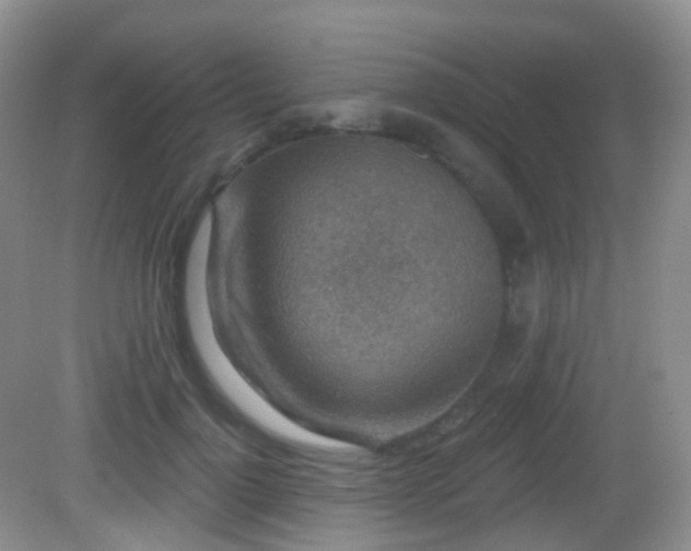 X0000082680748200702021226
