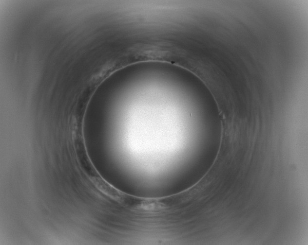 X0000082680752200702021226