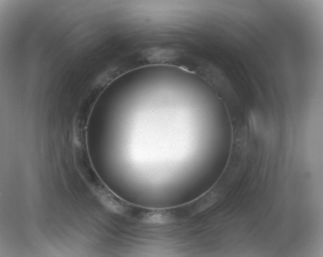 X0000082680755200702021226
