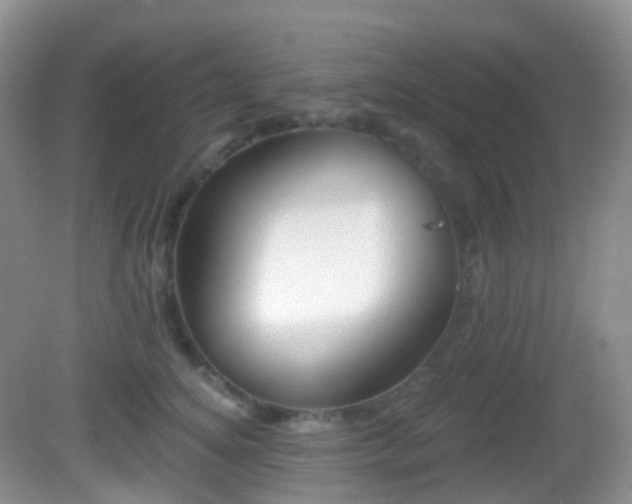 X0000082680756200702021226