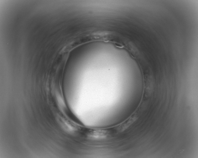X0000082680758200702021226