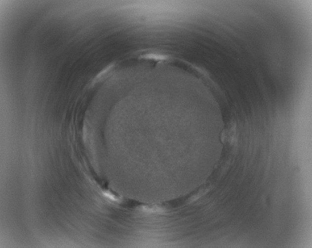 X0000082680763200702021226