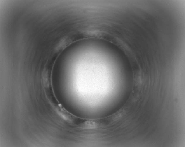 X0000082680764200702021226