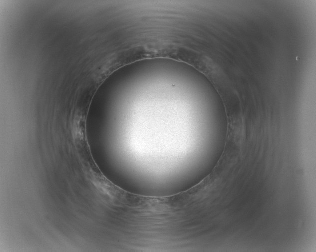 X0000082680770200702021226