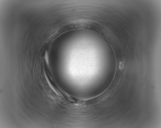 X0000082680771200702021226