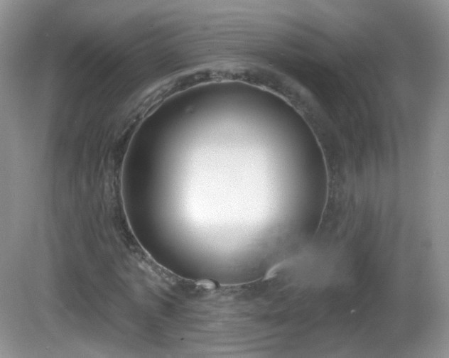 X0000082680773200702021225