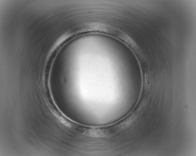 X0000082680780200702021225