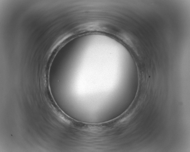 X0000082680782200702021225