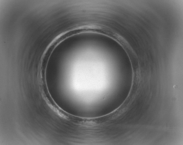 X0000082680784200702021225