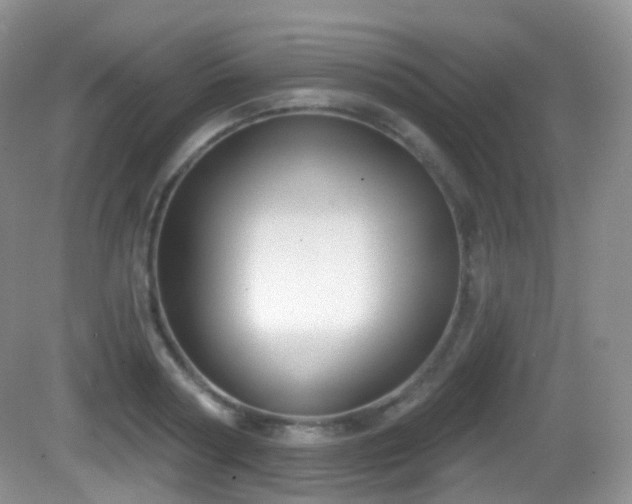 X0000082680794200702021225