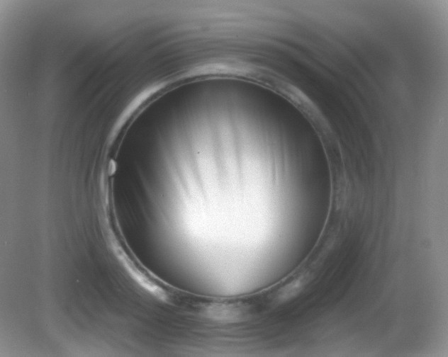 X0000082680796200702021225