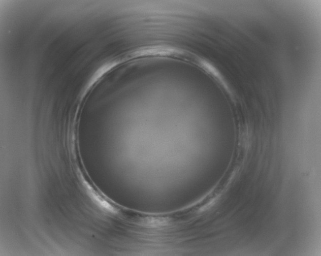 X0000082680802200702021225