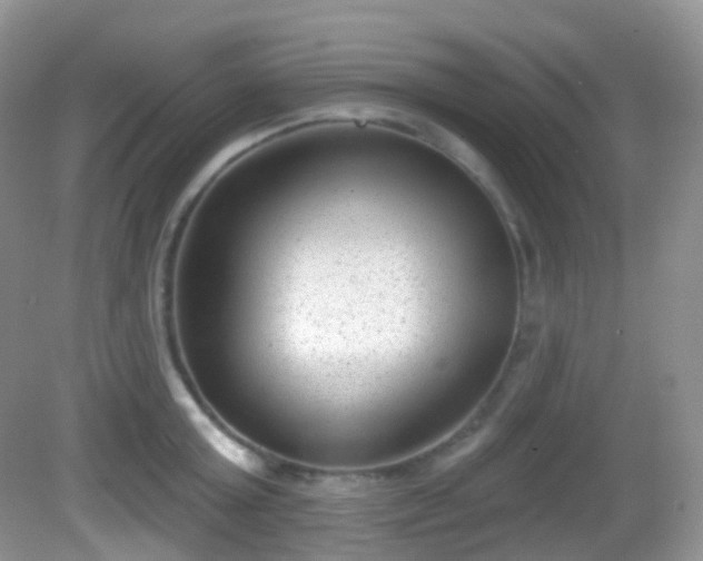 X0000082680803200702021225
