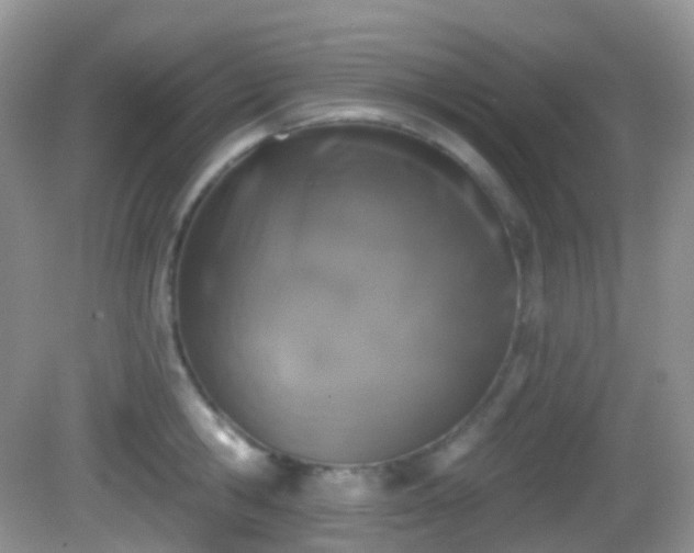 X0000082680806200702021225