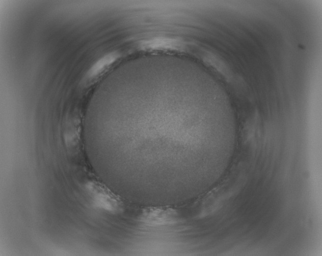 X0000082680824200702021224