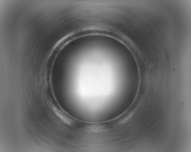 X0000082680830200702021224