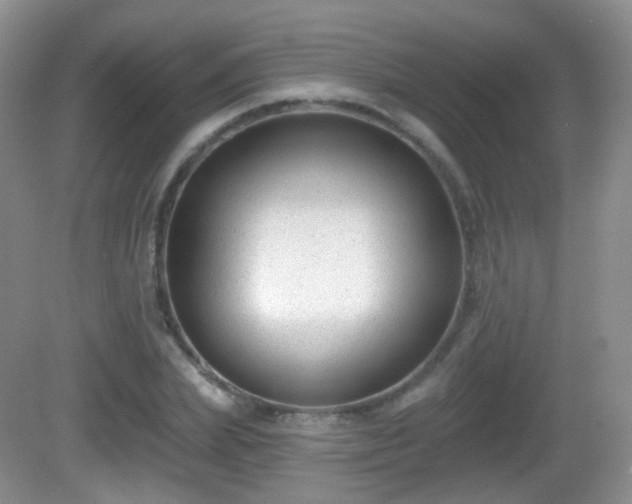 X0000082680831200702021224