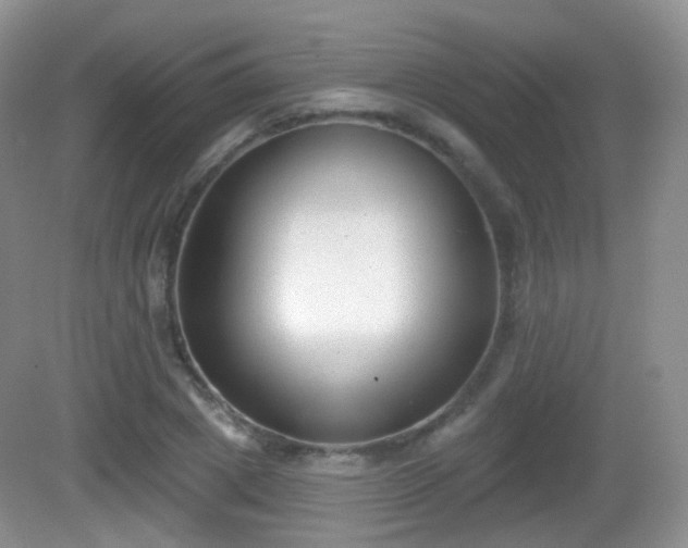 X0000082680833200702021224