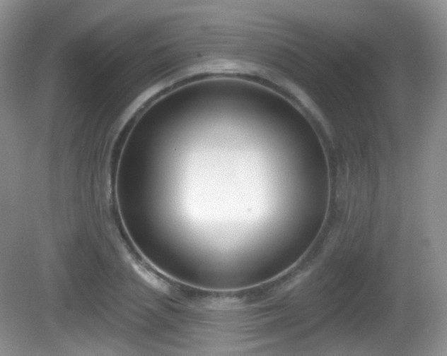 X0000082680837200702021224
