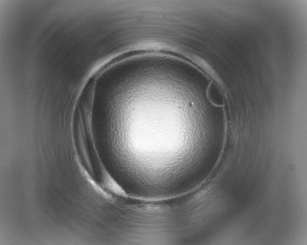 X0000082680839200702021224