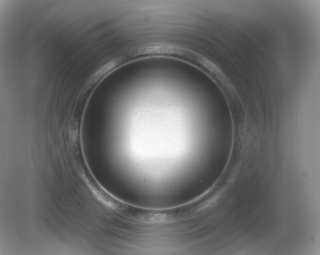 X0000082680841200702021224