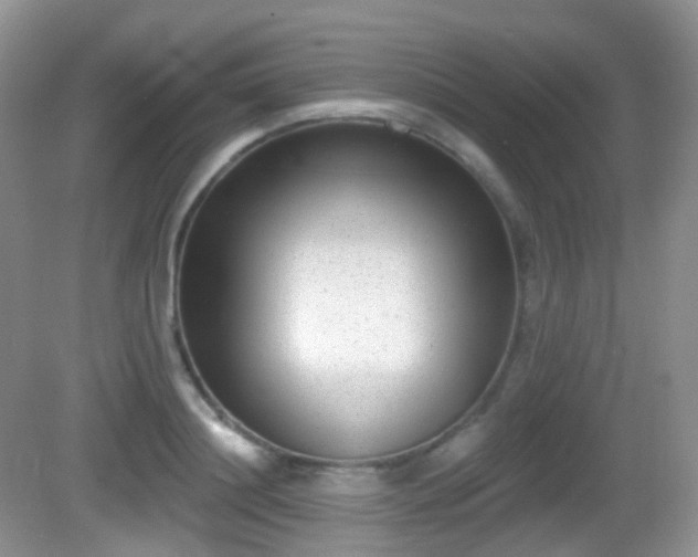 X0000082680844200702021224