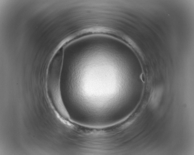 X0000082680845200702021224