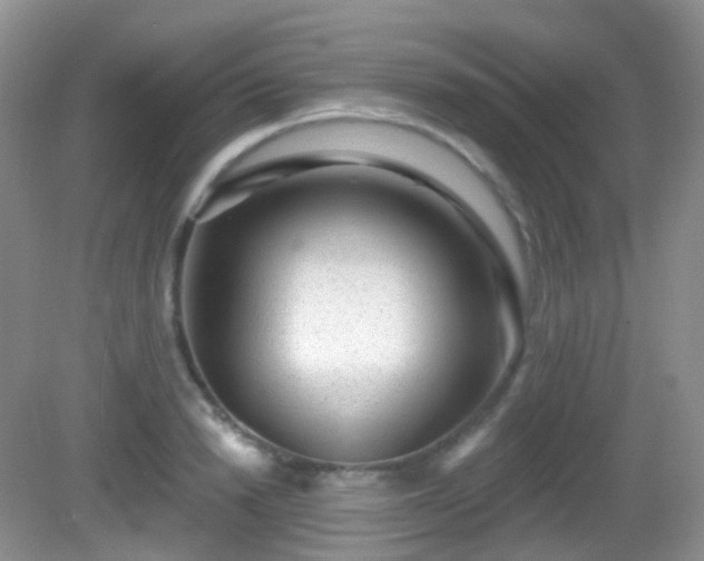X0000082680846200702021224