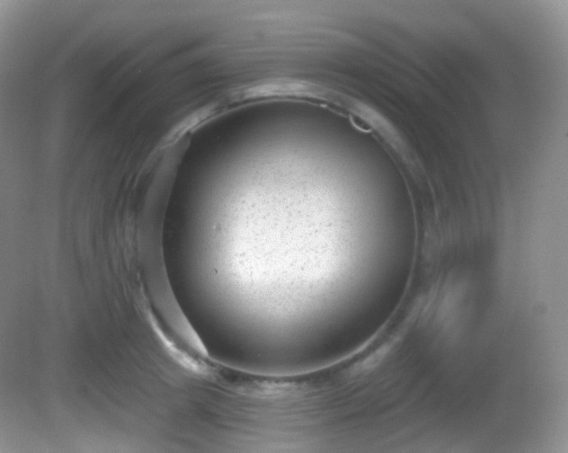 X0000082680849200702021224