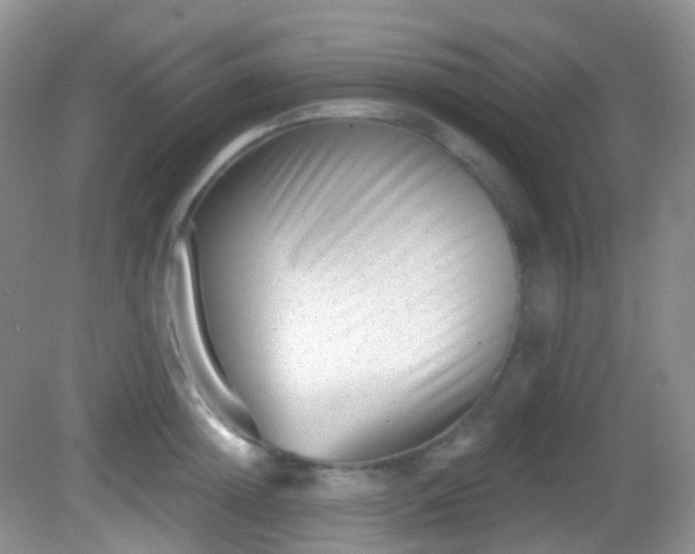 X0000082680852200702021225