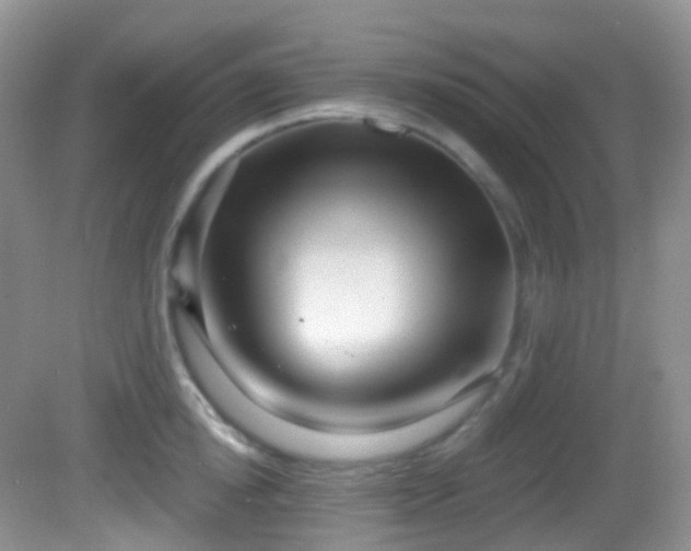 X0000082680854200702021225