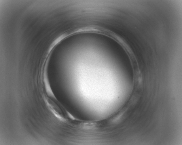 X0000082680858200702021225
