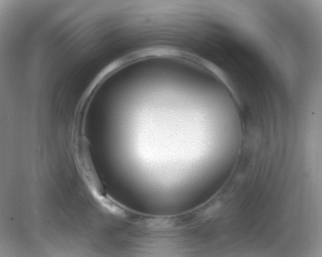 X0000082680861200702021225