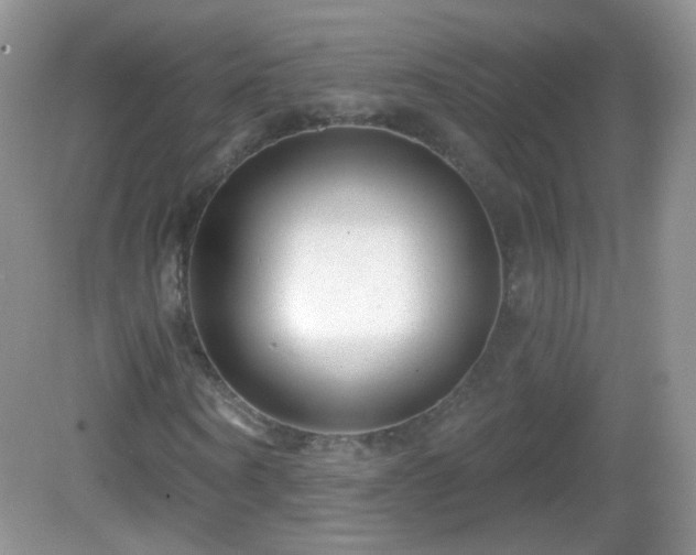 X0000082680866200702021224