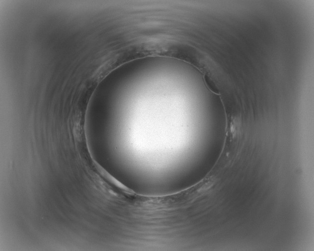 X0000082680867200702021224