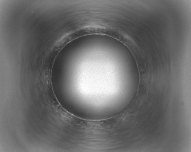 X0000082680870200702021224